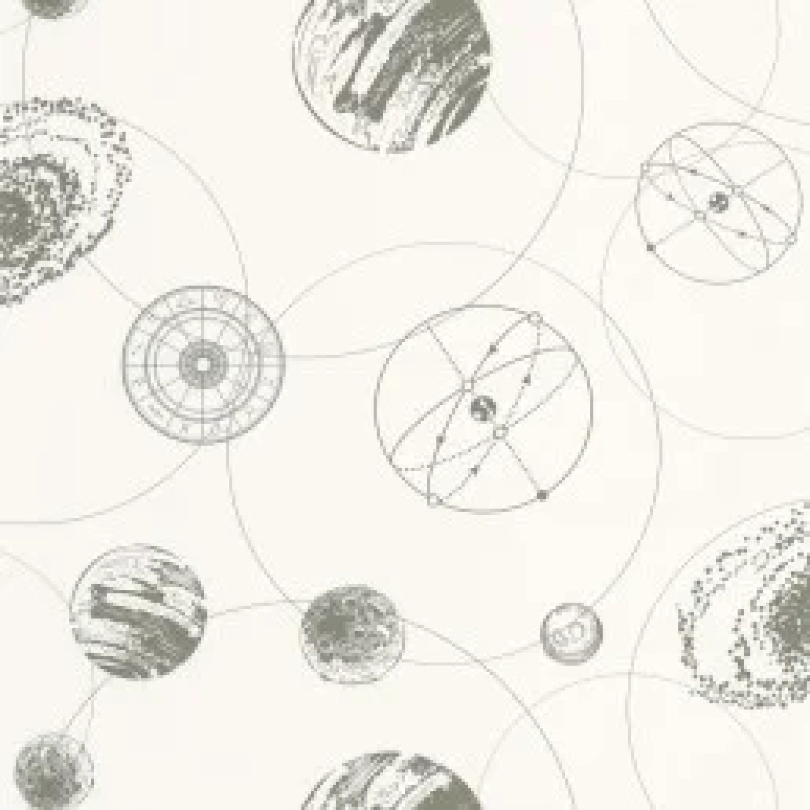 Caselio Young & free Just Fly